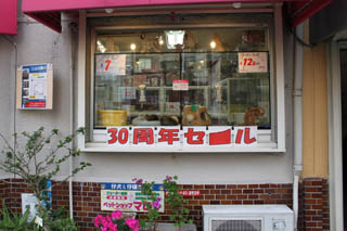 애완동물가게:페트숍