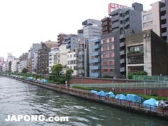 Sumidagawa river