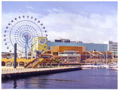 시미즈 세스팔스 드림 플라자