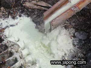 노보리베츠온천:유노하나